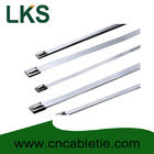 4.6*650mm 316/304/201 grade Ball-lock stainless steel cable ties